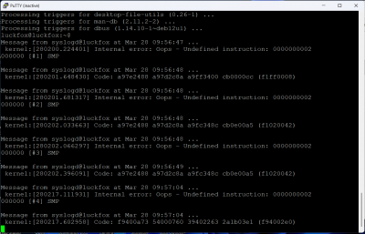 kernel error luckfox.png