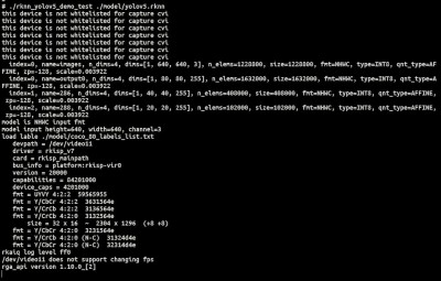 rknn_demo_run_log.jpg